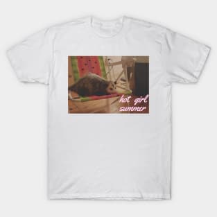 hot girl summer possum edition T-Shirt